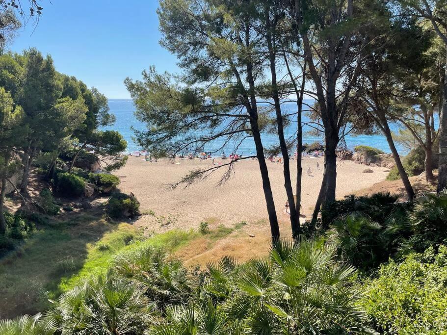 Precioso Apto Miami Primera Linia Playa Cala De Las Sirenas, Con Wifi Y Netflix, Adecuado Para Teletrabajar Miami Playa Exteriér fotografie